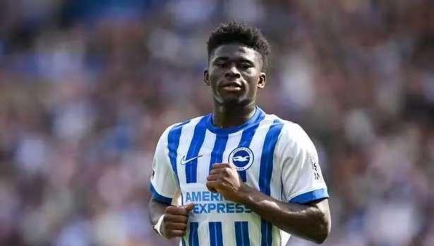 达成了初步 达成了初步