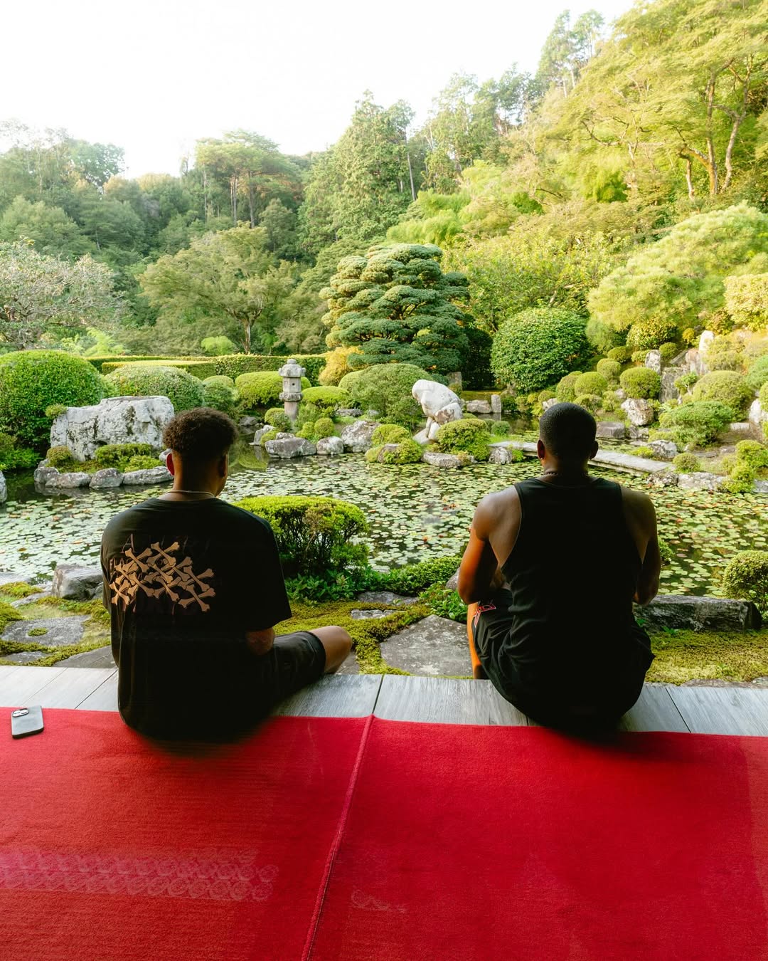 entit, 八村垒In, img